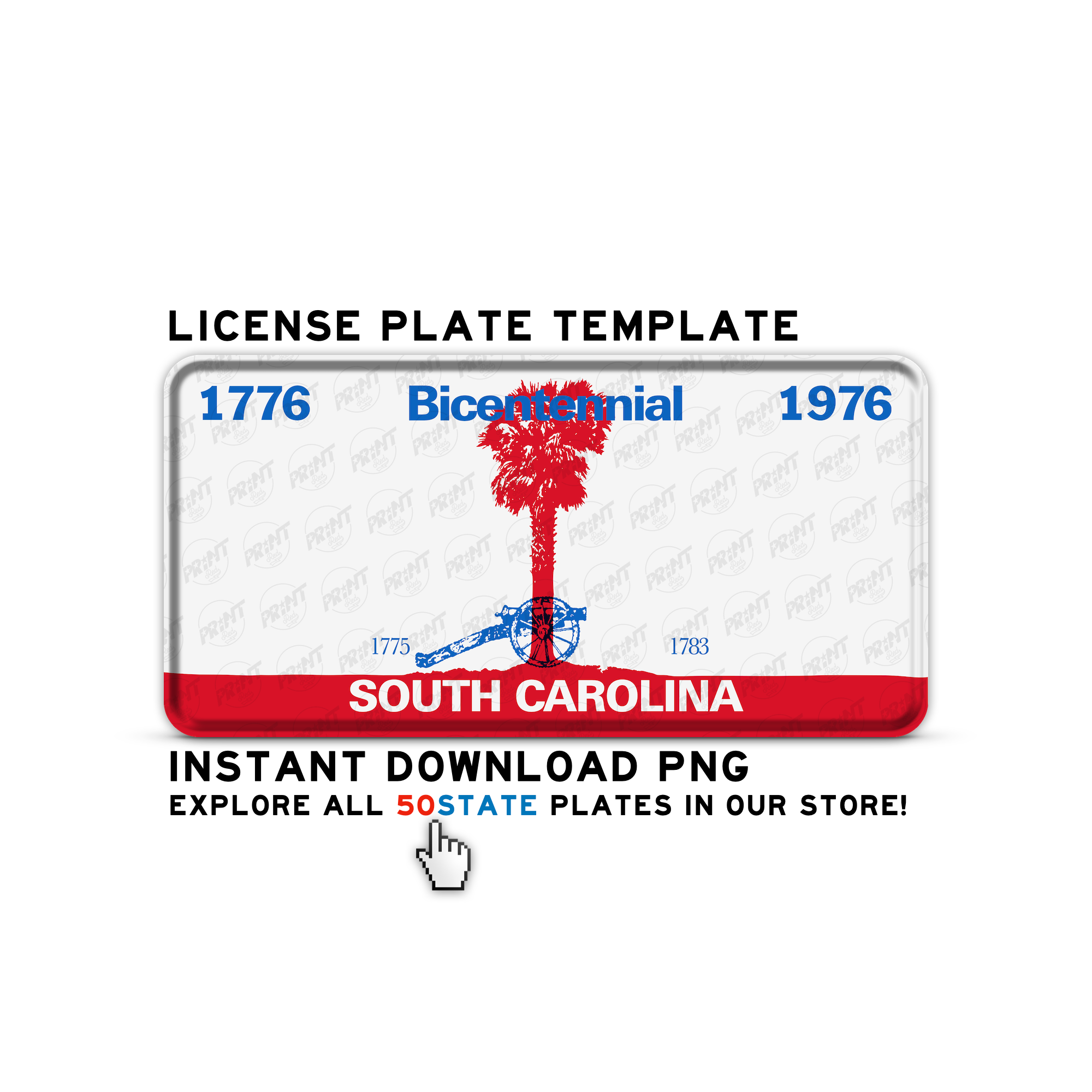 SOUTH CAROLINA BICENTENNIAL
