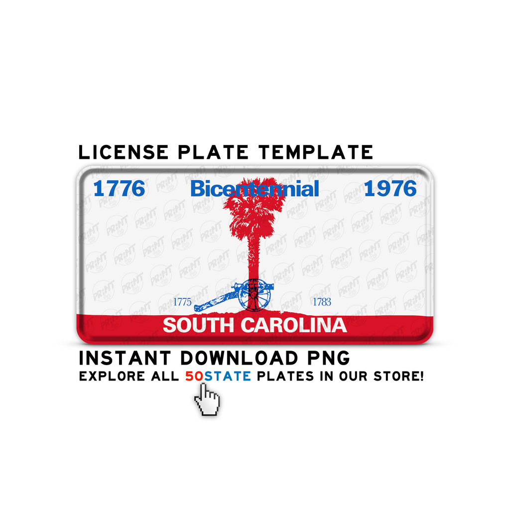 SOUTH CAROLINA BICENTENNIAL