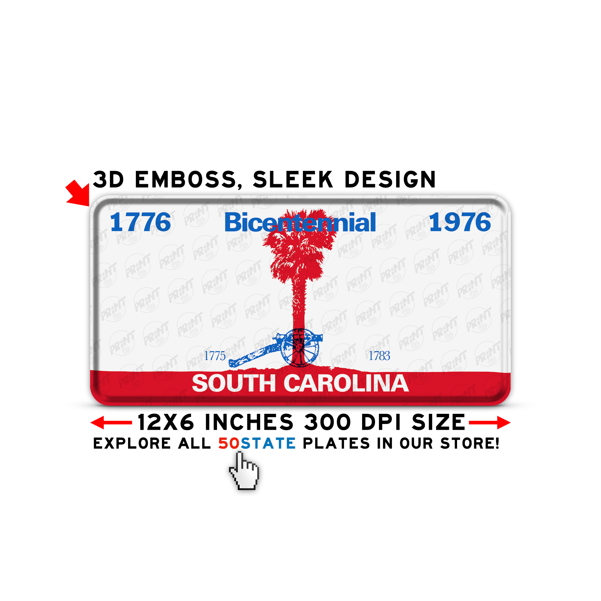 SOUTH CAROLINA BICENTENNIAL