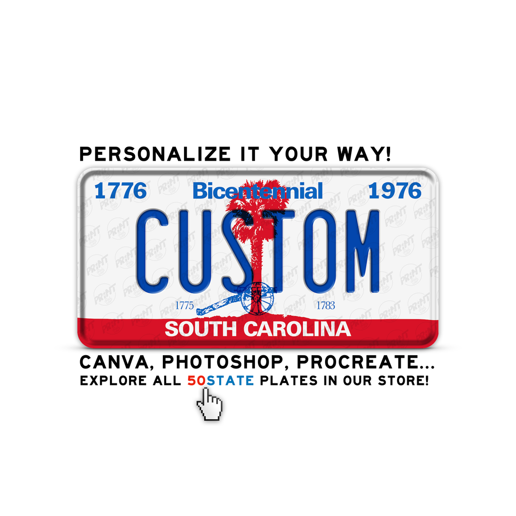 SOUTH CAROLINA BICENTENNIAL